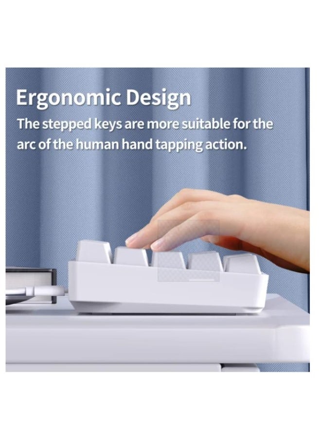 Terabyte Mechanical Gaming keyboard White - Image 3