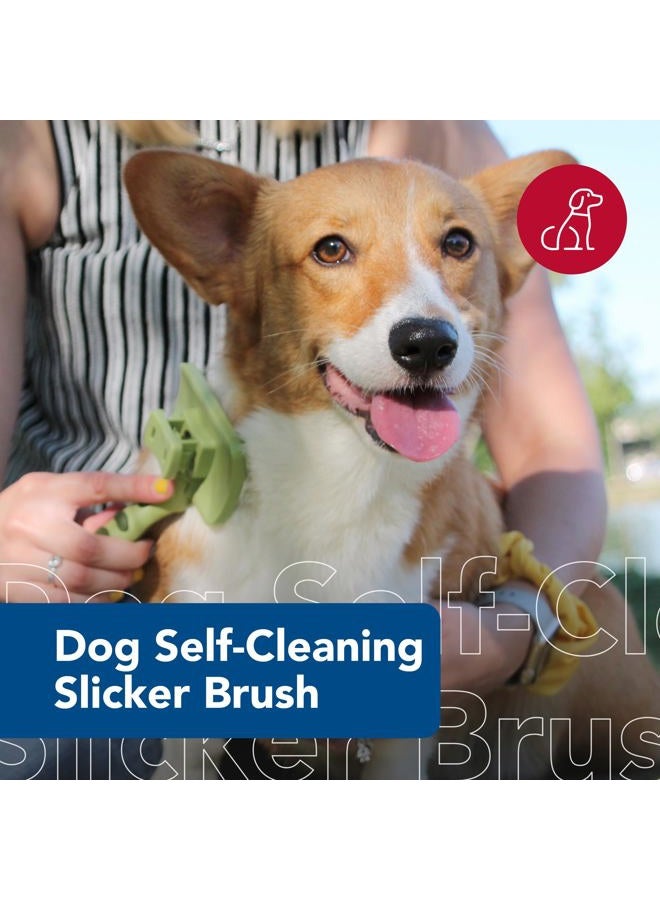 Coastal Pet Safari Dog Self-Cleaning Slicker Brush - Dog Deshedding Brush - Prevents Mats and Tangled Hair - For Dogs with Short or Long Hair - Large - 8" x 4.5" - Image 2