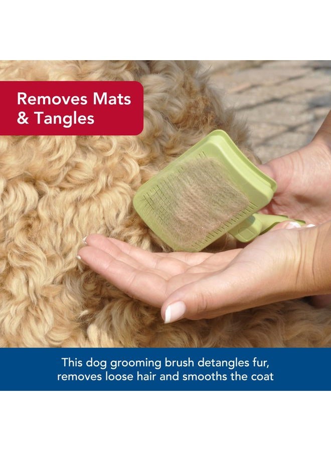 Coastal Pet Safari Dog Self-Cleaning Slicker Brush - Dog Deshedding Brush - Prevents Mats and Tangled Hair - For Dogs with Short or Long Hair - Large - 8" x 4.5" - Image 4