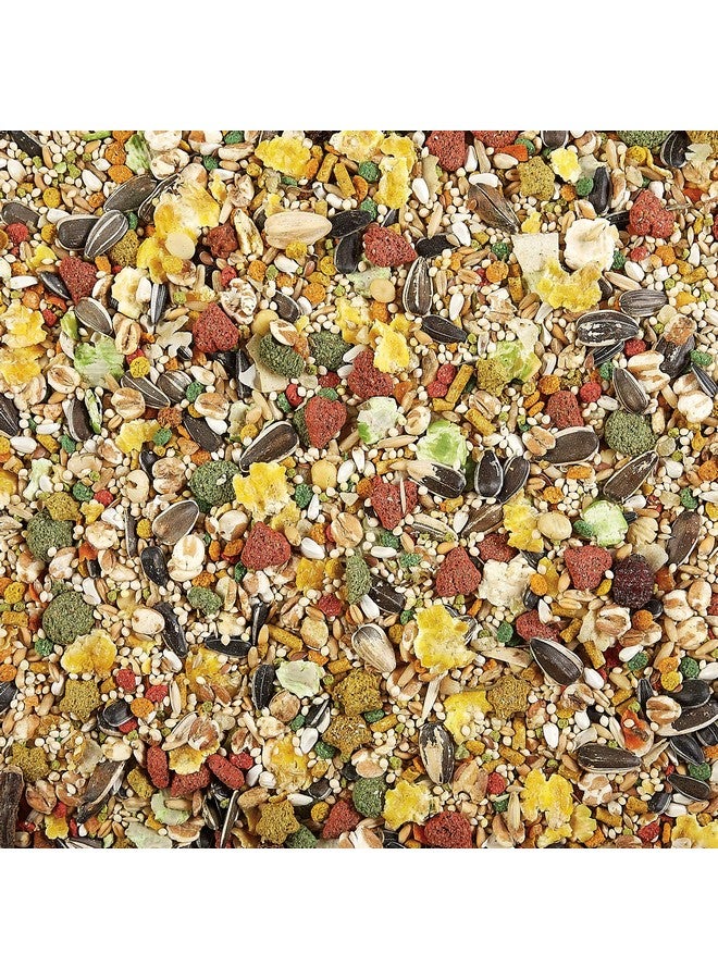 فيتاكرافت طعام فيتا سمارت جورميه للطيور الكوكتيل والطيور العاشقة - مدعم بالفيتامينات - طعام يومي للطيور الأليفة 4 أرطال (عبوة واحدة) - Image 3