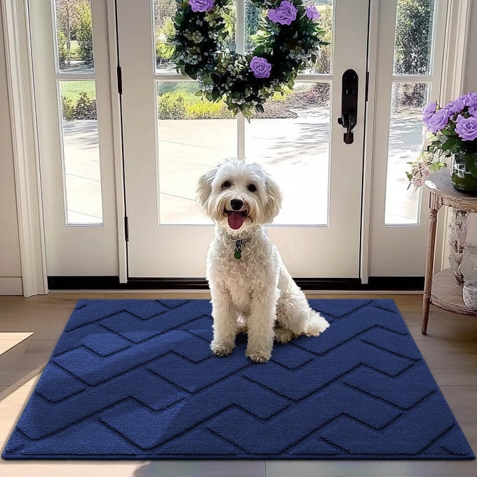 FRONT DOOR MAT OUTSIDE ENTRANCE32X40 ABSORBENT MUDDY DIRT RESIST WELCOME DOOR MATS OUTDOOR INDOORSTAIN AND FADE RESISTANTNON SLIP BACKING ENTRY MAT DOORMAT FOR ENTRYWAYNAVY BLUE