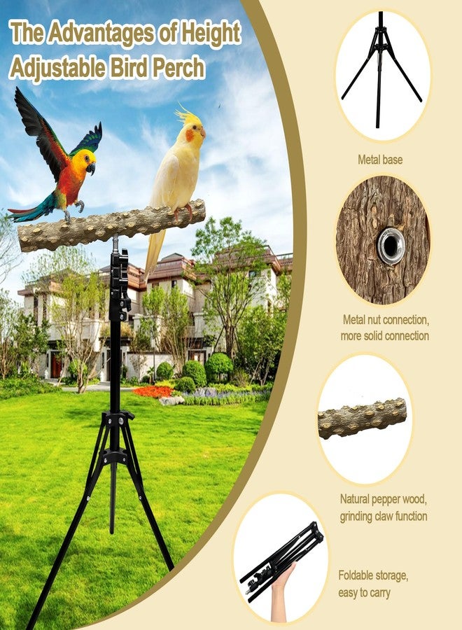 Arfubye 16-63 Inch Height Adjustable Bird Perch Pepper Wood Bird Training Perch Stand Parakeet Perches Indoor and Outdoor Parrot Stands for Small to Medium Bird - Image 2