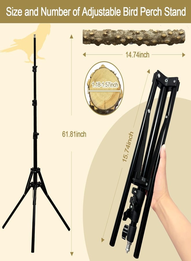 Arfubye 16-63 Inch Height Adjustable Bird Perch Pepper Wood Bird Training Perch Stand Parakeet Perches Indoor and Outdoor Parrot Stands for Small to Medium Bird - Image 3