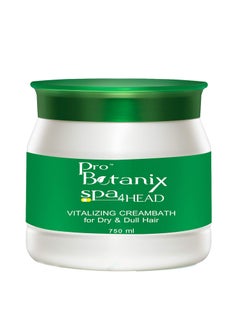 RAAGA PROFESSIONAL Pro Botanix Spa4head Vitalizing Creambath 2646 Oz 750g  Organic Hair Cream For Dry and Dull Hair  For All Hair Types 