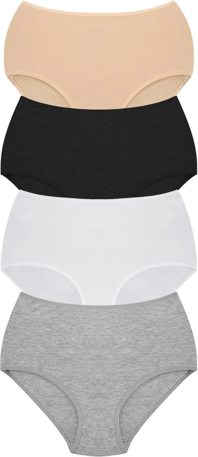 Arma Yıldız Arma Star Women's Plus Size Panties High Waist Bato Cotton 4-Pack Colorful
