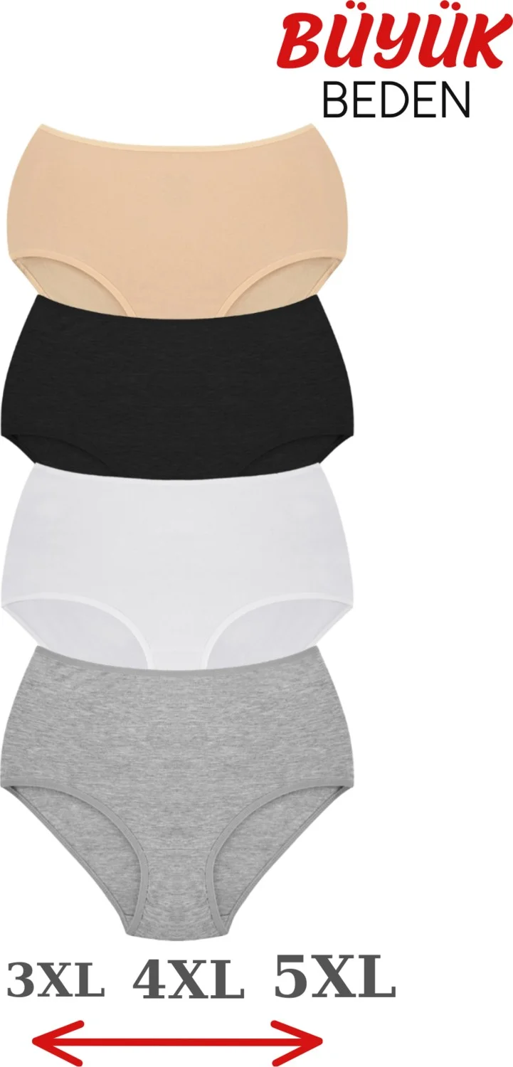Arma Yıldız Arma Star Women's Plus Size Panties High Waist Bato Cotton 4-Pack Colorful