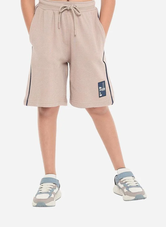 victor and jane Victor And Jane Boys Brown Textured Knit T-Shirt and Shorts Set