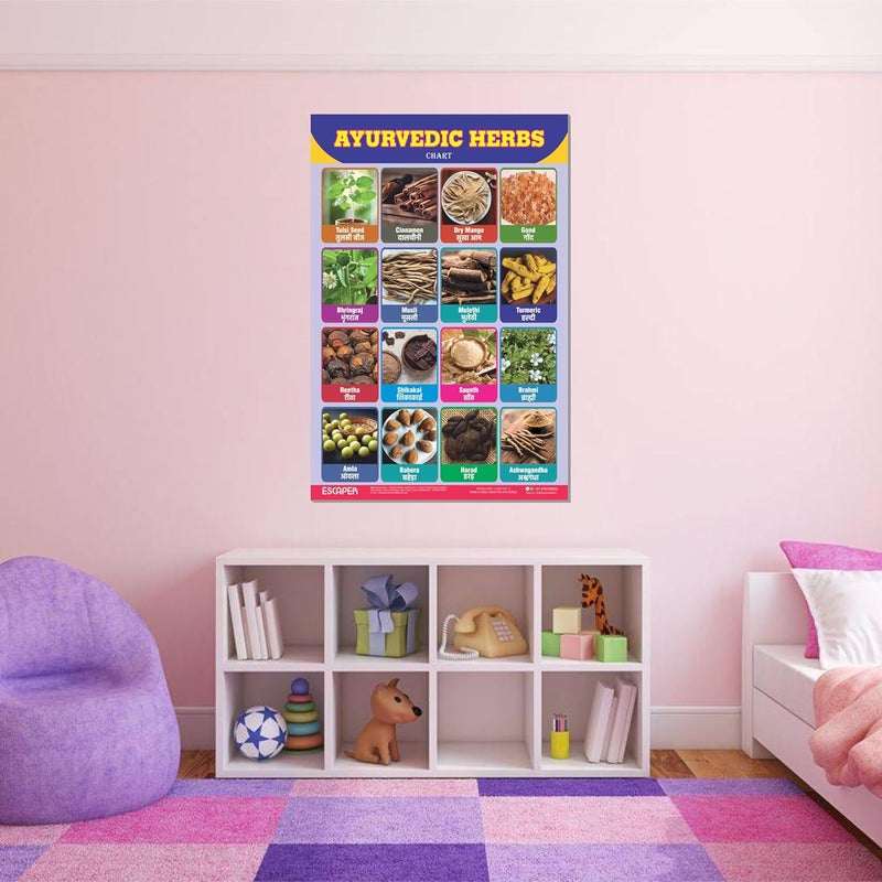 ESCAPER Ayurvedic Herbs Educational Charts for Kids Learning (11.5 x 17.5 inches), Study Material, Learning Books, Posters - Image 5