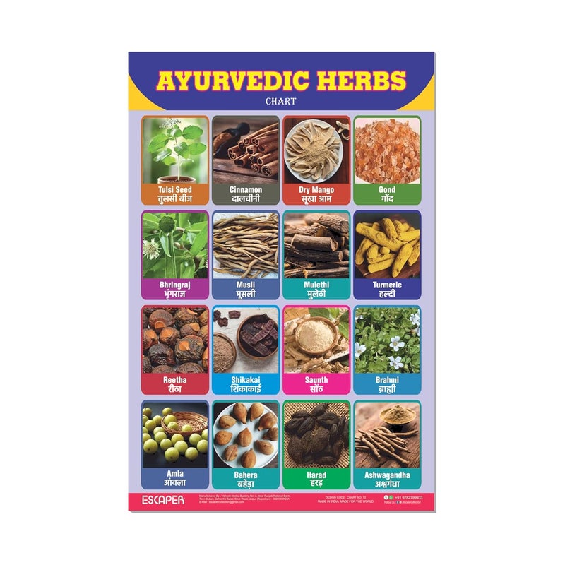 ESCAPER Ayurvedic Herbs Educational Charts for Kids Learning (11.5 x 17.5 inches), Study Material, Learning Books, Posters - Image 1