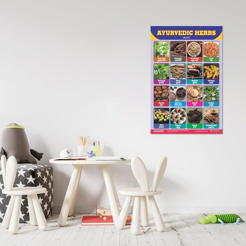 ESCAPER Ayurvedic Herbs Educational Charts for Kids Learning (11.5 x 17.5 inches), Study Material, Learning Books, Posters - Image 4