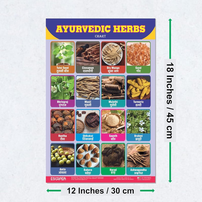 ESCAPER Ayurvedic Herbs Educational Charts for Kids Learning (11.5 x 17.5 inches), Study Material, Learning Books, Posters - Image 2