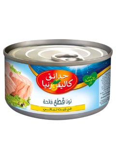 California Garden Light Chunks Tuna in Vegetable Oil, 170g - pzsku/Z912802865AF2F18950ECZ/45/_/1734595157/6db28588-3fc9-473d-9c34-53d61db22028