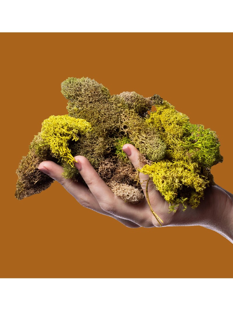 Poo-Pourri Before-You-Go Toilet Spray Black Pepper & Leather - Image 5