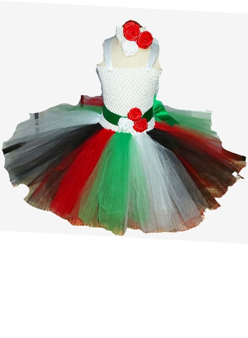 داديز أنجل علم الإمارات / فستان اليوم الوطني للفتيات الصغيرات - Image 2