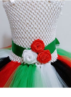 Daddy's Angel UAE Flag National Day Dress for Baby Girls  - Image 3