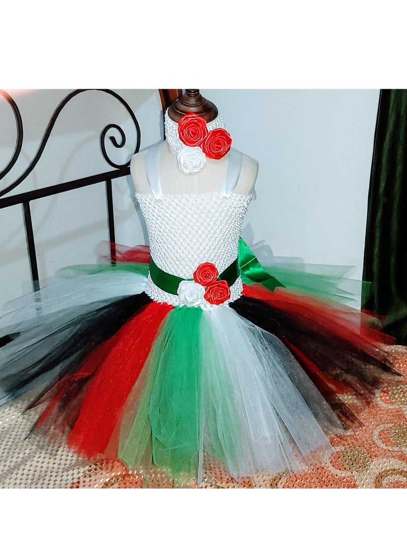 داديز أنجل علم الإمارات / فستان اليوم الوطني للفتيات الصغيرات - Image 5