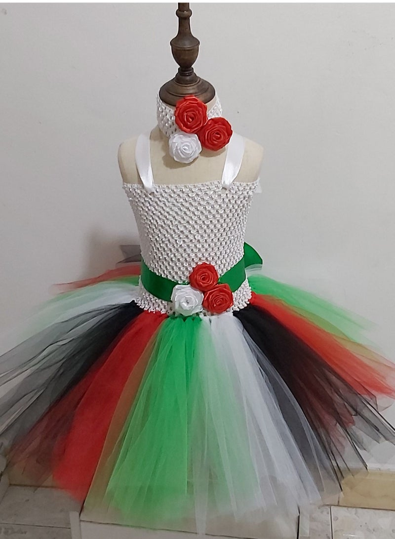 داديز أنجل علم الإمارات / فستان اليوم الوطني للفتيات الصغيرات - Image 4