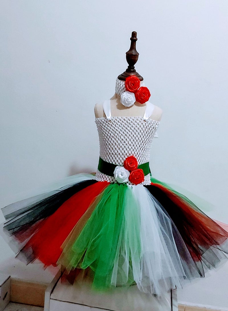 داديز أنجل علم الإمارات / فستان اليوم الوطني للفتيات الصغيرات - Image 1