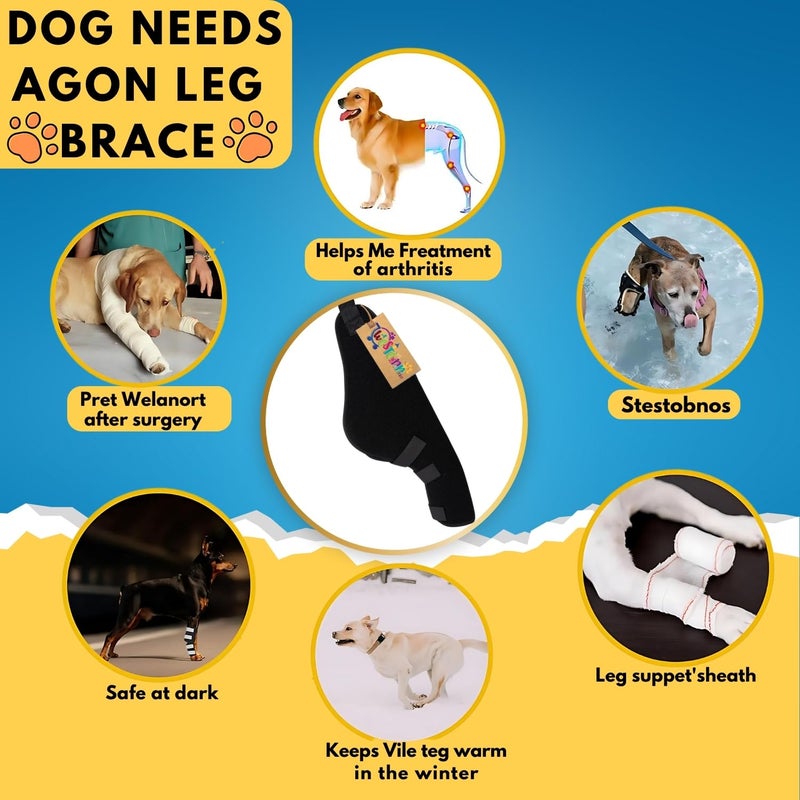 Western Era Dog Disability Leg Support Brace | Rear & Front Leg Injury Aid for Arthritis, Mobility, Sprain Recovery | Wrap for Disabled Dogs with Padding | Helps Walking, Balance, Joint Relief (Left) - Image 5