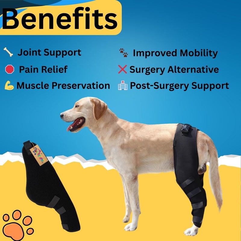 Western Era Dog Disability Leg Support Brace | Rear & Front Leg Injury Aid for Arthritis, Mobility, Sprain Recovery | Wrap for Disabled Dogs with Padding | Helps Walking, Balance, Joint Relief (Left) - Image 4