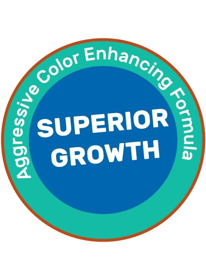 هيكاري سيشليد ذهبي متوسط، 57 جم - Image 2