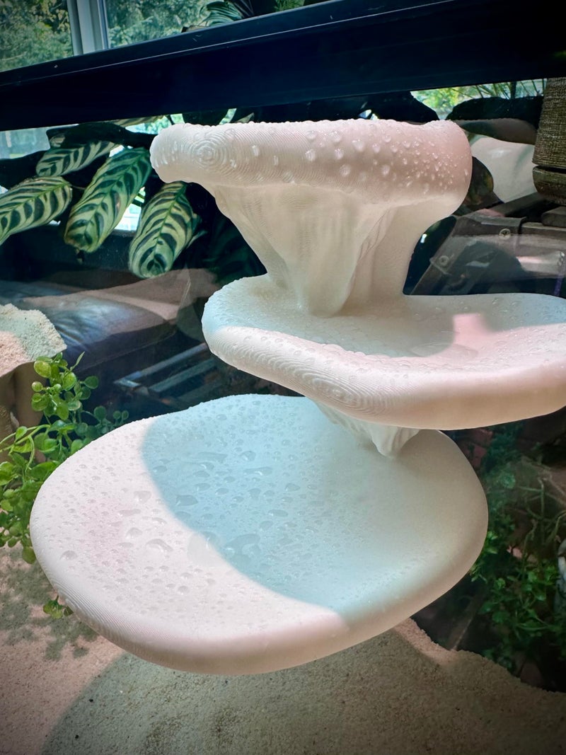 FROSTO Mushroom Ledge for Terrarium â€“ Climbing & Resting Platform with Suction Cups (Bone, 6''x4.5''x5.25'') - Image 2