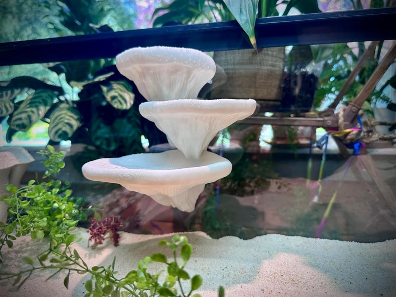 FROSTO Mushroom Ledge for Terrarium â€“ Climbing & Resting Platform with Suction Cups (Bone, 6''x4.5''x5.25'') - Image 3