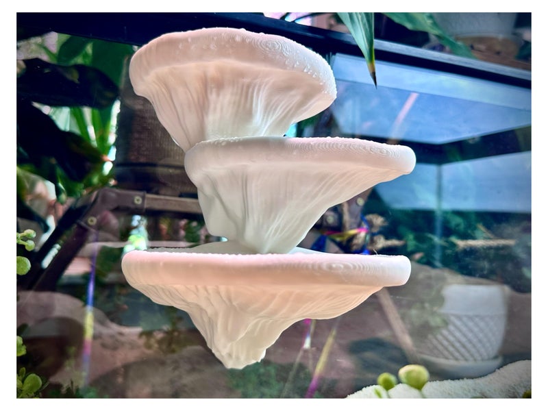 FROSTO Mushroom Ledge for Terrarium â€“ Climbing & Resting Platform with Suction Cups (Bone, 6''x4.5''x5.25'') - Image 1