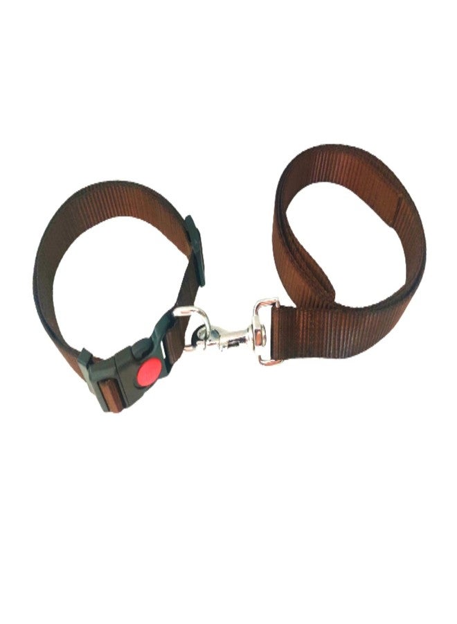 PawCloud Nylon Dog Leash and Collar Set, Large - Coffee Brown, 25mm - Image 2