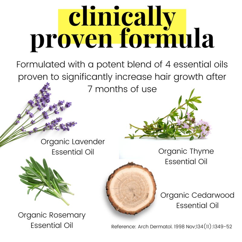 Vegan Mia USDA Organic Rosemary Oil for Hair Growth with Castor, Jojoba & More by Vegan Mia | for Intense Nourishment & Dry Scalp Treatment - Get Healthier, Thicker & Shiny Hair Naturally (with Exclusive eBook) - Image 3