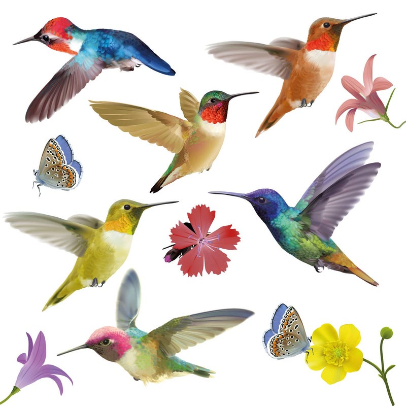 WALPLUS 12 Large Hummingbird Window Clings  AntiCollision Decals to Prevent Bird Strikes