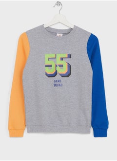 Boys Colorblock  Printed Sweatshirt