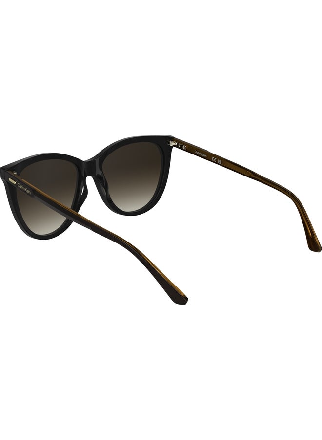 CALVIN KLEIN FULL RIM ACETATE BUTTERFLY CALVIN KLEIN SUN CK25508S N 5516 (001) BLACK - Image 3