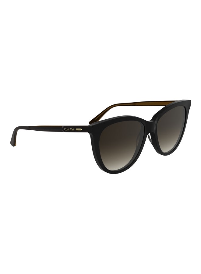 CALVIN KLEIN FULL RIM ACETATE BUTTERFLY CALVIN KLEIN SUN CK25508S N 5516 (001) BLACK - Image 1