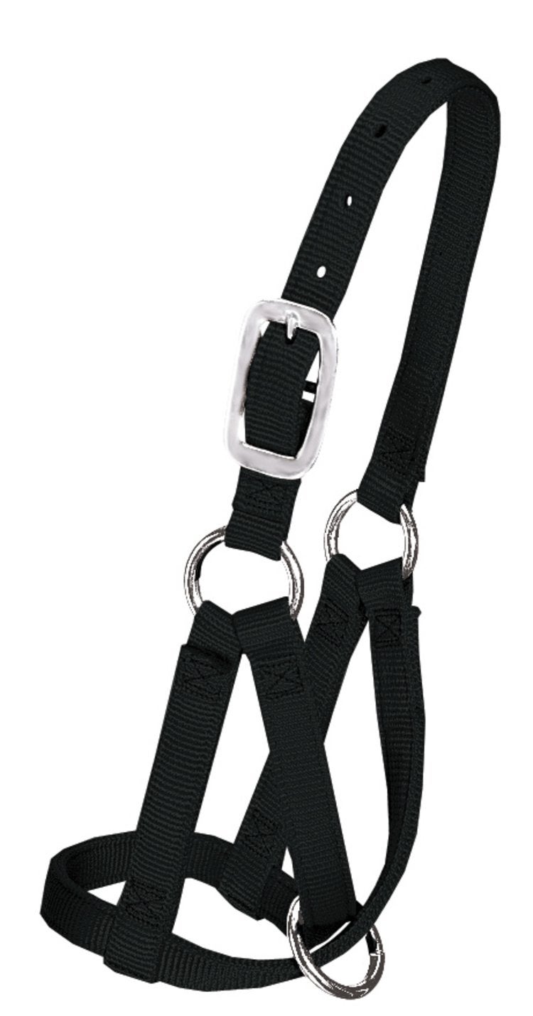 Weaver Leather Livestock Llama Halter, Black, Medium - Image 1