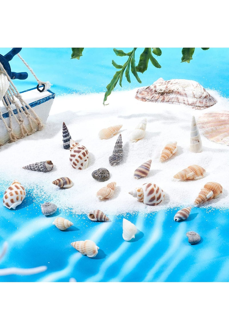 Excefore 140 PCS Open Back Natural Spiral Shell Beads, Spiral Conch Shells Charms, Beach Seashells Beads, Suitable for DIY Craft Jewelry Making, Home or Wedding Decoration - Image 4