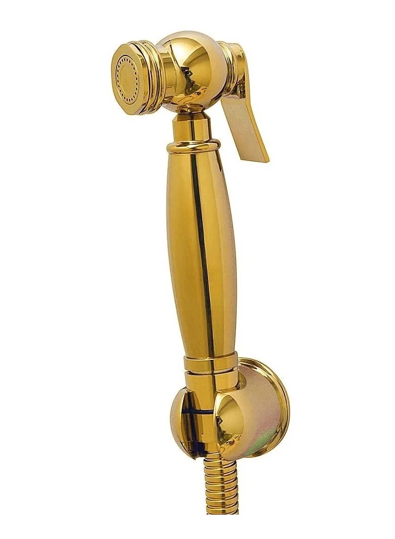 Modern design bidet with full accessories, shiny gold color - Image 2