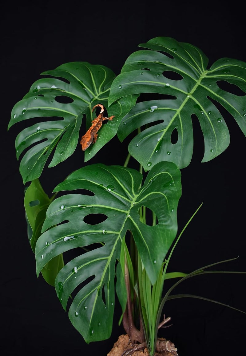 Komodo Komodo Reptile Terrarium Monstera Leaf Plant with Weighted Base  Extra Large Realistic Artificial Plant for Terrariums and Aquariums   21 Tall with 8 x 725 Leaves  - Image 2