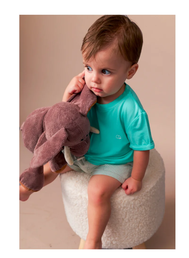 Anvi Baby Bamboo Spandex T-Shirt- Aqua Blue