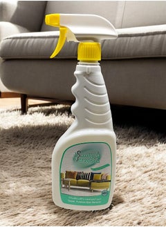 Furniture and Carpet Stain Remover Spray 650ml