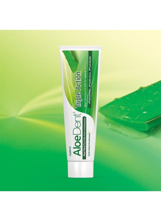 Aloe Dent - AloeDent Triple Action Toothpaste, 100 ML - Image 1