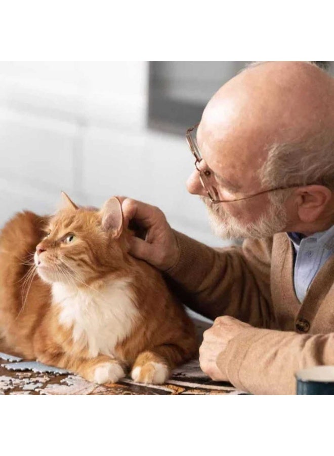 Pro nutrition Prestige Kitten With Fish 2Kg - Image 3