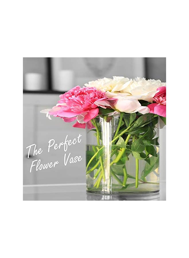 The Bros مزهرية زجاجية شفافة أسطوانية (H:5.9" D:5.9") | خيارات متعددة من أحجام مزهريات الزهور | مزهرية حامل شمعة عائمة هاركان - Image 5