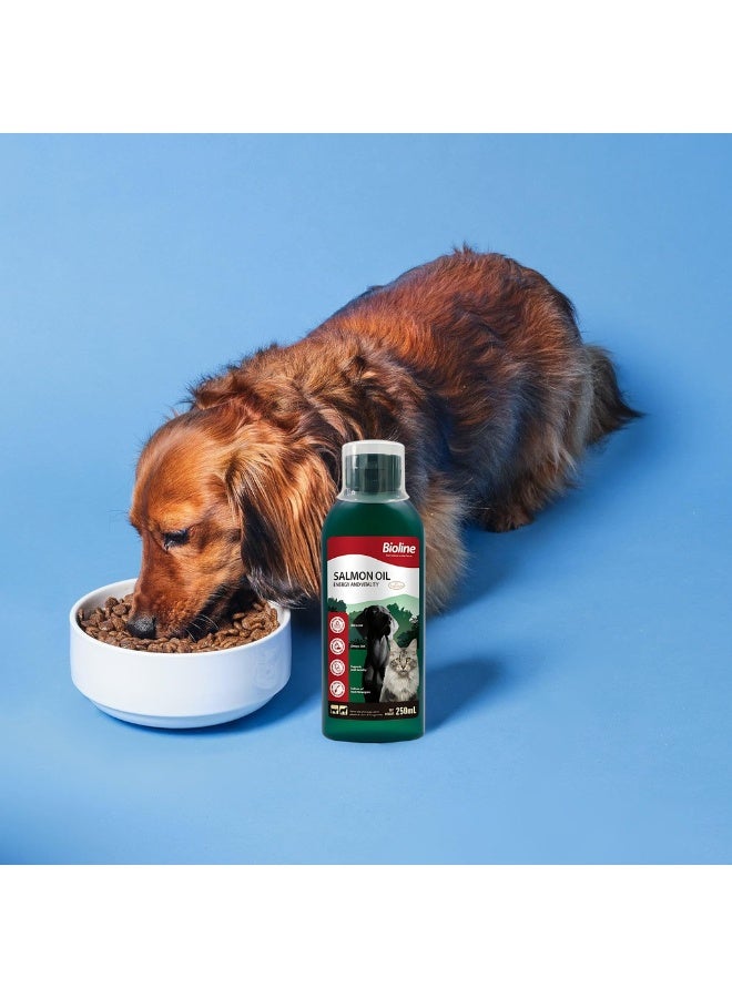 بايولاين زيت السلمون النرويجي 250 مل - Image 3