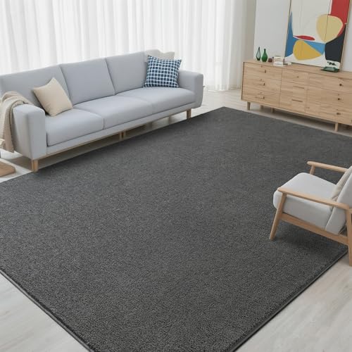Foxmas Modern Area Rugs for Living Room Bedroom 4x6 ft Dark Grey Soft Memory Foam Rug Washable Aesthetic Minimalist NonSlip Indoor Carpet for Kids Boys Girls Dorm Home Decor - Image 3