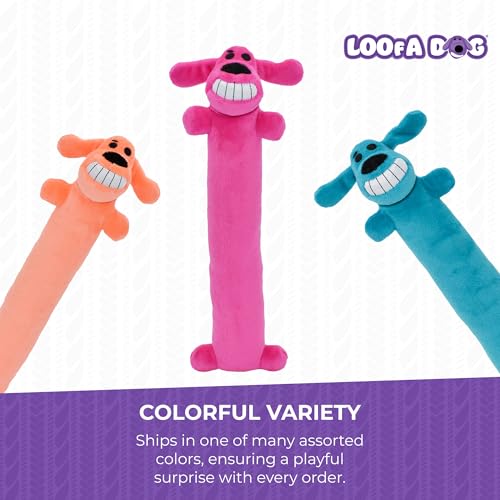 Multipet Original Loofa Dog Plush Toy - Squeaky Toy for All Dogs - Extra Soft Plush - Stuffed Animal Dog Toys for Playing - Cute Dog Pet Toy (1 Count, 12”, Random Color Surprise) - Image 4