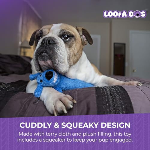 Multipet Original Loofa Dog Plush Toy - Squeaky Toy for All Dogs - Extra Soft Plush - Stuffed Animal Dog Toys for Playing - Cute Dog Pet Toy (1 Count, 12”, Random Color Surprise) - Image 5