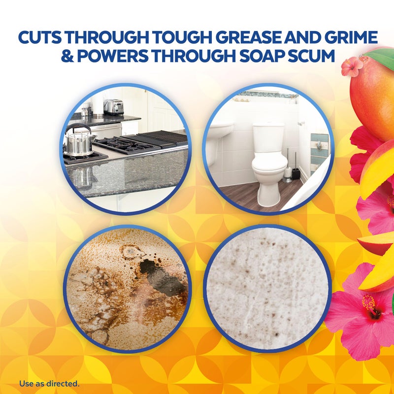 Lysol منظف متعدد الأسطح ليسول باور كلين، مركز 2x، مانجو و هيبسكوس، 28 أونصة سائلة - Image 4