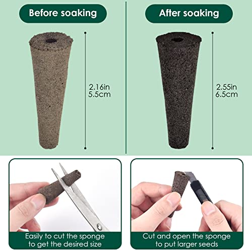 PACETAP 50 Pack Grow Sponges, Seed Pods Replacement Root Growth Sponges Compatible with AeroGarden, Seedling Starter Sponges Kit Refill Grow Sponge for Hydroponic Indoor Garden System - Image 3