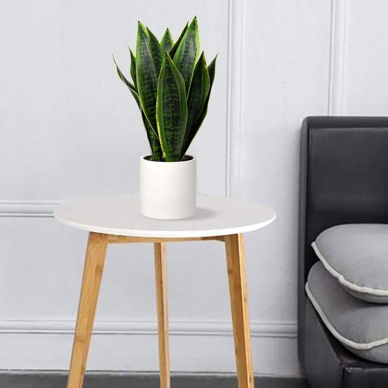 Briful Fake Snake Plant 16" Faux Potted Plant Artificial Snake Plant with White Ceramic Pot Sansevieria Plant Perfect for House Modern Living Room Office Housewarming Gift Indoor Decor - Image 3